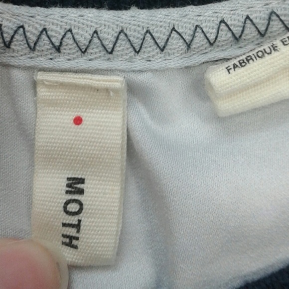 Moth - Picture 5 of 5